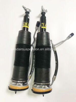 A2213206713 A2213206813 Hydraulic Shock Absorber